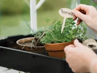 Royal Well | Kweekbak/Container 15 liter - thumbnail