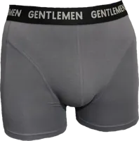 Heren boxershort Modal - Mannen onderbroek - Comfort - Aansluitend - Elastische band - XXL - Grijs - Onderbroek heren heren heren heren heren heren - thumbnail