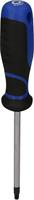 Brilliant Tools BT034908 Torx-schroevendraaier Grootte T 25 Koplengte: 100 mm 1 stuk(s) - thumbnail