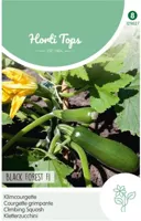 Zaden Courgette Black Forest F1 (klimmend) Hortitops - Hortitops - thumbnail