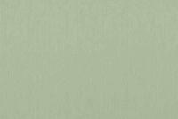 Emil & Hugo Naturalis 90108 - thumbnail