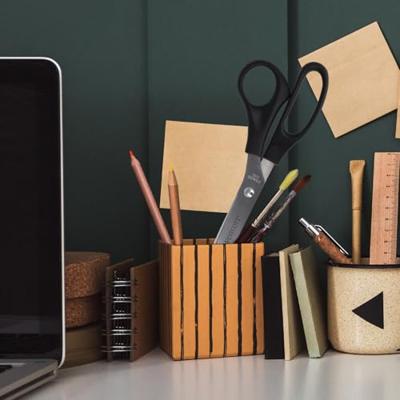 Quantore Schaar westcott buro 260mm rvs met kunststof grip