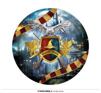 Magical School Borden Harry 23cm (6st) - thumbnail