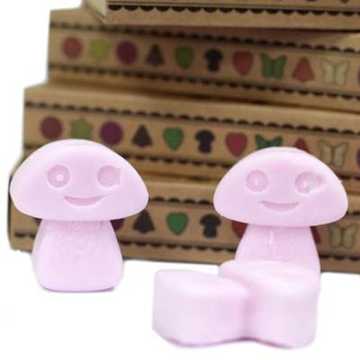 Ylang Ylang Set van 6 Waxmelts