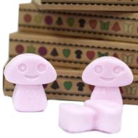 Ylang Ylang Set van 6 Waxmelts - thumbnail