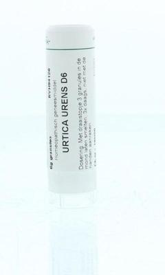 Homeoden Heel Urtica urens D6 6 Gram Homeoden Heel Urtica urens D6 6 Gram