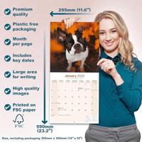 Boston Terrier Kalender 2026 - thumbnail