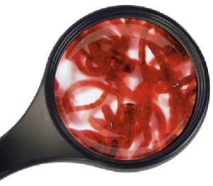 Superfish levende rode muggelarven 90ml