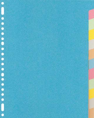 Tabbladen A4 23 rings karton