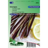 Citroengras Sereh zaden Citronella - thumbnail