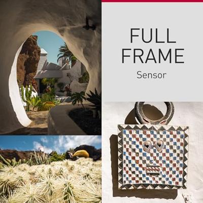 Panasonic Lumix S9 Body Dark Olive + Lumix S 20-60mm F/3.5-5.6 L-mount