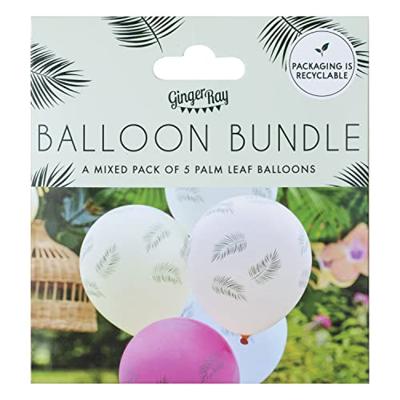 Ballonnen Bundle Pastel Feathers (5st)