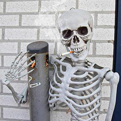 Human Size Skelet 170cm - Levensecht - Buigbaar - ABS - Halloween Decoratie - thumbnail