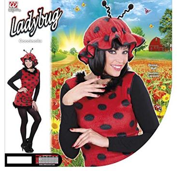 Lieveheersbeestje kostuum dames pluche