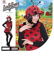 Lieveheersbeestje kostuum dames pluche - thumbnail