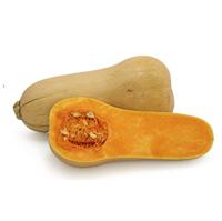 Butternutpompoen zaden Hercules F1 - thumbnail