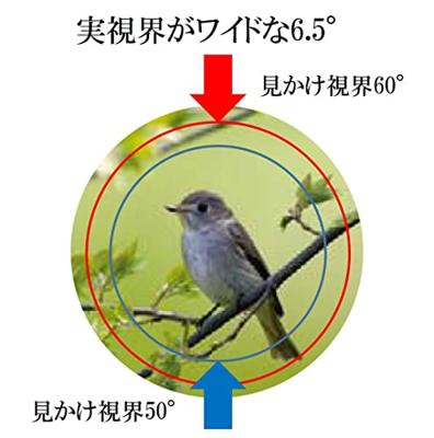 Kowa Verrekijker SVII 10x25