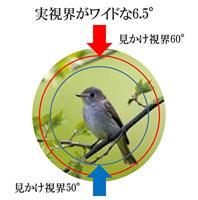 Kowa SVII 10x25 - thumbnail