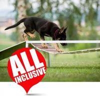 Puppy complete set - thumbnail