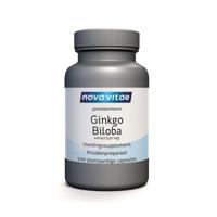 Ginkgo biloba extract 120 mg - thumbnail
