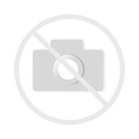 Speick Natural Aktiv Deo Roll-On - thumbnail