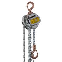 Delta Vonkvrije handkettingtakel | ATEX zone 1 | met gegalvaniseerde lastketting | 10 m | 2 ton - DC.0.06502010 DC.0.06502010 - thumbnail