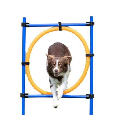 TRIXIE Fun-Agility Hoepel set, blauw-geel - thumbnail