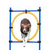 Trixie Fun Agility Ring hond - thumbnail