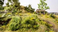 NOCH 7310 Struik Groen (gemiddeld) - thumbnail