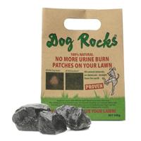 DOG ROCKS - thumbnail