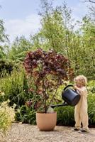 elho bloempot sereh rond d25 h21cm Koele klei - thumbnail