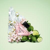 Prada Paradoxe Floral Eau de Parfum Rechargeable 90ml - thumbnail