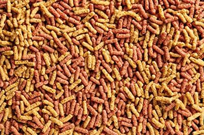 Oase DYNAMIX Sticks Mix 20L - Compleet Vijvervoer met Natuurlijke Kleurversterkers & Peper