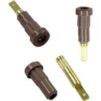 Stäubli EB2 Laboratoriumbus Bus, inbouw verticaal Stift-Ø: 2 mm Bruin 1 stuk(s) - thumbnail