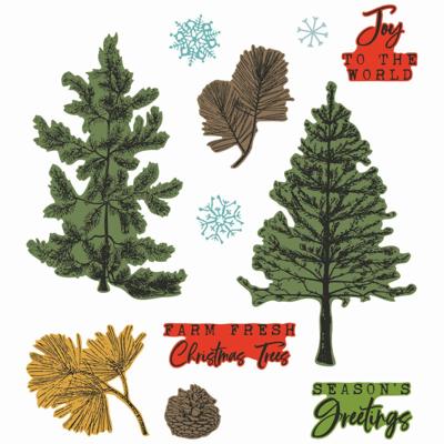 Sizzix • clear stamp set a5 with framelits die pine holidays 21pcs