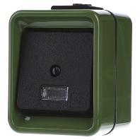 Merten 370677 Wisselschakelaar Groen 1 stuk(s) - thumbnail