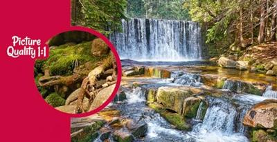 Forest Cascade Puzzel 2000 Stukjes