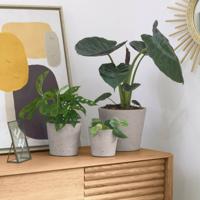 Kave Home Plantenpot 'Low' Set van 3 stuks - thumbnail