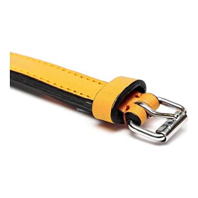 GLORIA 8432288109113 bontkraag gevoerd, AM, 250 g