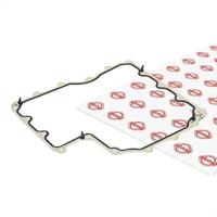 Camellia - thumbnail