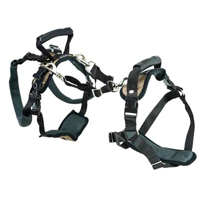 Solvit Petsafe carelift voor en achter
