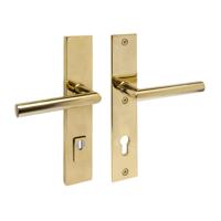 Intersteel AchterdeurbeslagJura PC 92mm messing - 0013.396449 - thumbnail