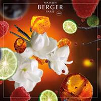 Maison Berger Navulling - voor geurbrander - Oriental Star - 500 ml - thumbnail