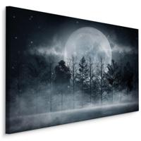 Schilderij - Volle Maan, 5 maten, Premium Print - thumbnail