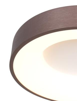Steinhauer Bronzen led plafonnièreRinglede Ø 30cm - 3086BR