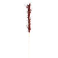 Countryfield kunsttak pluim m bordeaux 112 cm | 24 stuks - thumbnail