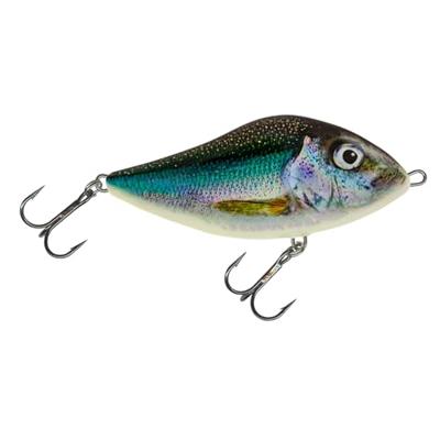 Salmo Slider Floating 10 Holo Smelt
