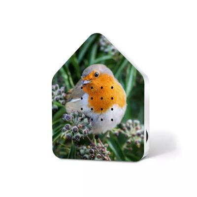 RELAXSOUND - Zwitscherbox - Vogels Robin Redbreast (gelimiteerd)