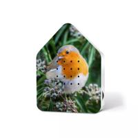 RELAXSOUND - Zwitscherbox - Vogels Robin Redbreast (gelimiteerd) - thumbnail