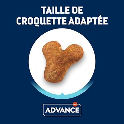 ADVANCE ADULT FRENCH BULLDOG ADVANCE ADULT FRENCH BULLDOG